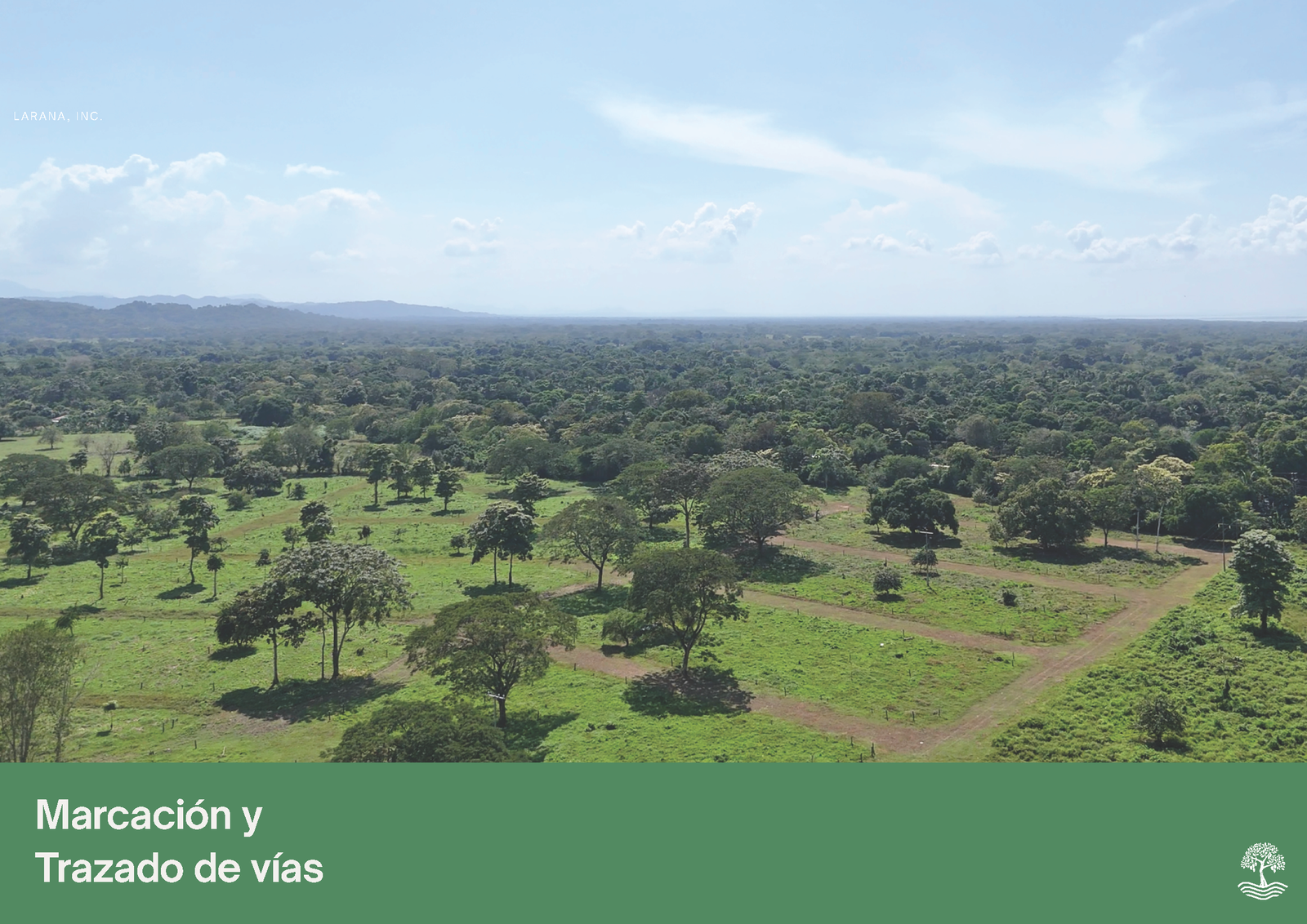 Galería 14